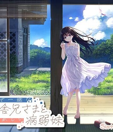 【FANZA限定】ド田舎兄妹_アペンドコンプリートセット【Whisp❤処女】評価